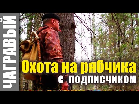 Видео: Охота на рябчика с подписчиком