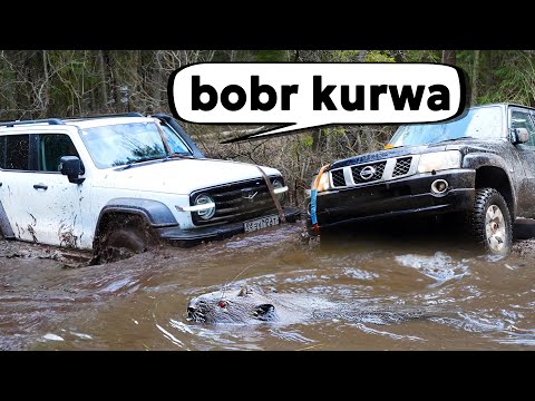Видео: БОБЁР ПРОТИВ! БИТВА ЛЕГЕНД И НОВИЧКОВ! Оффроуд по-Русски, TANK 300,  Nissan Patrol, ГАЗ 66, УАЗ.