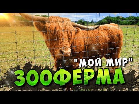 Видео: "МОЙ МИР" ЗООФЕРМА // д. Относово, Смоленская обл. // 2023 // 4K UHD