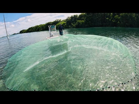 Видео: С помощью этой техники я поймал наживки на тысячи долларов!!! Как забросить большую кастинговую с...