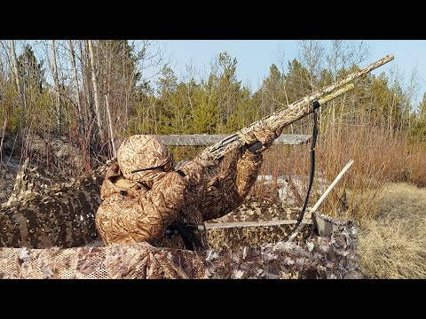 Видео: Как мы на гуся ходили. Охота в Якутии. Весна 2025