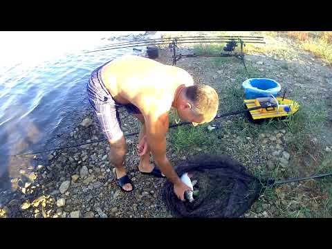 Видео: Есть ли Крупная Рыба в Каменке 2020?