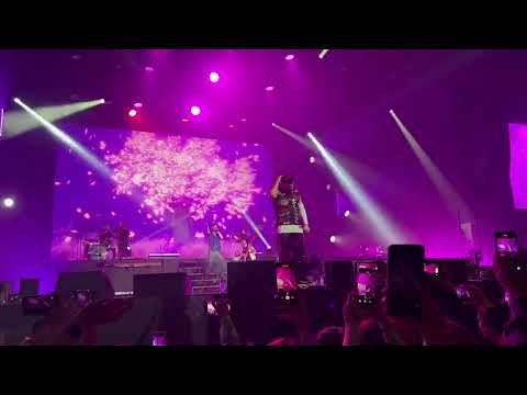 Видео: GAYAZOV$ BROTHER$ Кредо 02.12.2022 Adrenaline Stadium