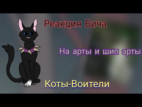 Видео: КОТЫ ВОИТЕЛИ - РЕАКЦИЯ БИЧА НА АРТЫ И ШИП АРТЫ