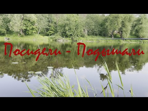 Видео: Фидерная рыбалка. Река Нара