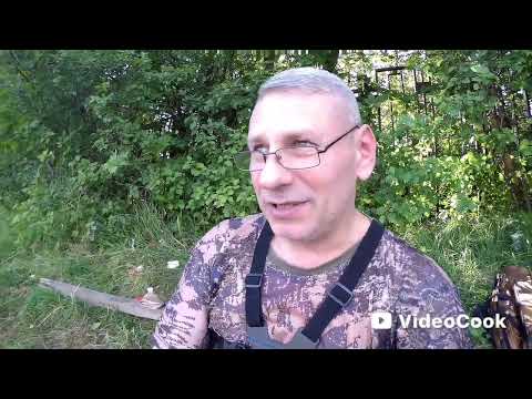 Видео: Рыбалка в июльскую жару на пруду!