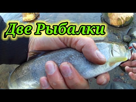 Видео: Сходил покидал Спиннинг☝ Рыбалка на реке Бия. Ловля тайменя