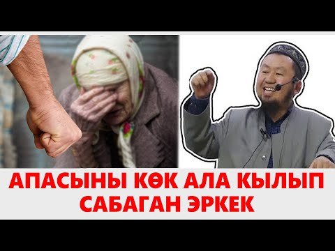 Видео: АПАСЫНЫ КӨК АЛА КЫЛЫП САБАГАН УУЛ | БОЛГОН ОКУЯ | Бактияр дамла