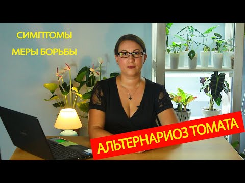 Видео: Альтернариоз томата. Симптомы и меры борьбы.