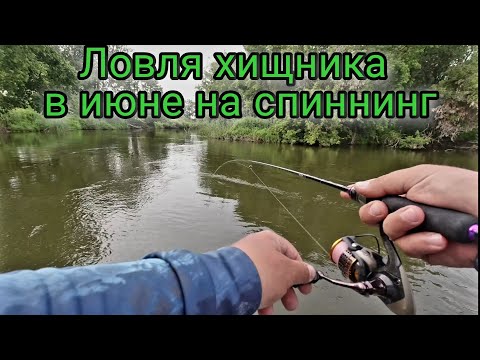 Видео: Ловля щуки и окуня в июне с лодки.