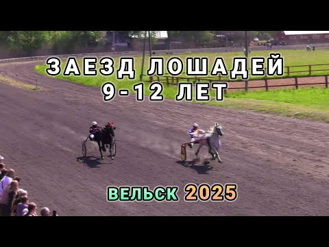 Видео: Финальный заезд лошадей 9-12 лет - Вельск 2025