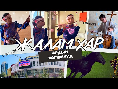 Видео: 5 минутанд ЖАЛАМ ХАР гаргаж чадах уу?