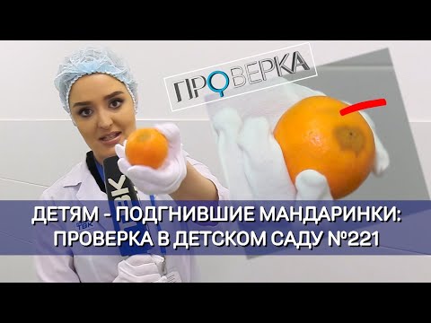 Видео: «Проверка» ТВК: красноярский детский сад №221