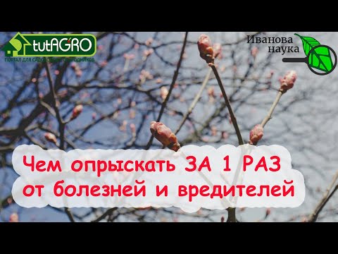 Видео: УНИКАЛЬНЫЙ РЕЦЕПТ XIX ВЕКА ДЛЯ ОБРАБОТКИ САДА, БОРЬБЫ С ГНИЛЬЮ, ПЕРОНОСПОРОЗОМ и ФИТОФТОРОЙ