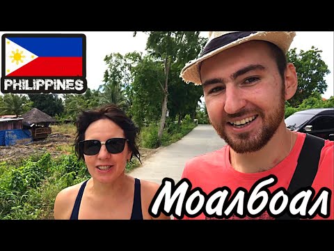 Видео: Филиппины🇵🇭.о Себу. ПОЕХАЛИ В ДЕРЕВНЮ МОАЛБОАЛ СМОТРЕТЬ МОРСКИХ ЧЕРЕПАХ И САРДИН…