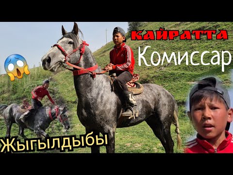 Видео: Кайратта КОМИССАР ЧЫКТЫ ОХООО😱аң паңды карабайт