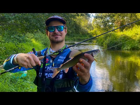 Видео: Рыбалка на хариуса в Тверской Области!! Продолжаем поиски дикой форели!