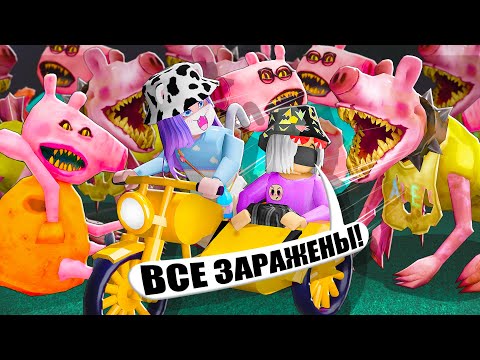 Видео: ЗАРАЖЕНИЕ В ГОЛОДНЫХ СВИНКАХ