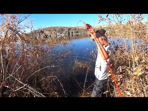 Видео: РЫБАЛКА ПРЁТ . СЛЕТАЮТ ТАПКИ.
