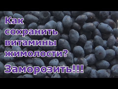 Видео: Заморозка ягод жимолости впрок