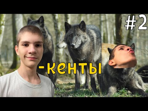 Видео: НОВЫЕ ОТКРЫТИЯ ⮞ The Long Dark 🢂 #2