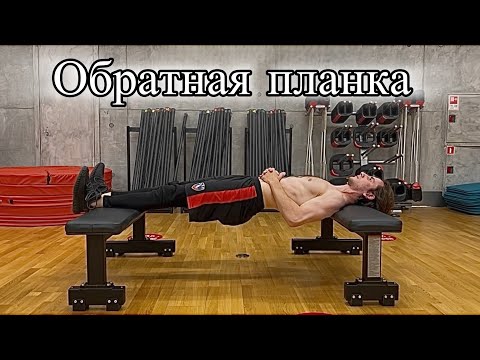 Видео: Обратная Планка на Опорах — Упражнение для Спины и Ягодиц