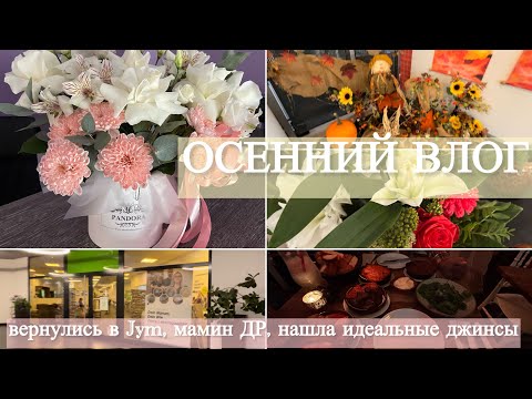 Видео: Что привезли из Австрии/Наша годовщина/Лыжам быть-покупки в Decathlon, пробежались по IKEA