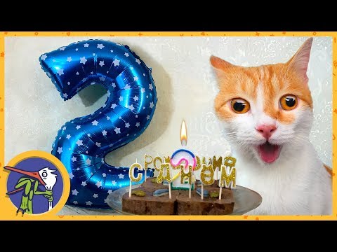 Видео: День рождения котика Рыжика - 2 года. Рыжик нализался валерьянки и улетел на шаре