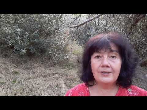 Видео: Два чудесных исцеления в моей жизни