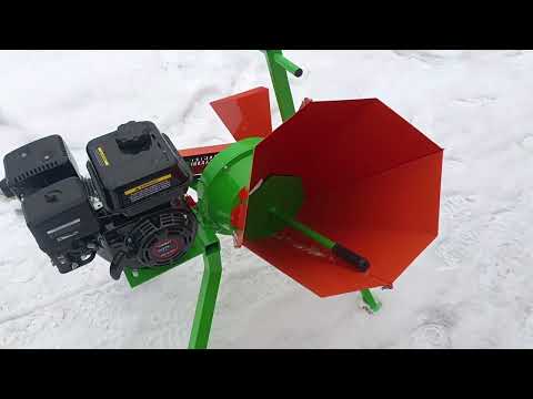 Видео: 14 февраля 2025 г.