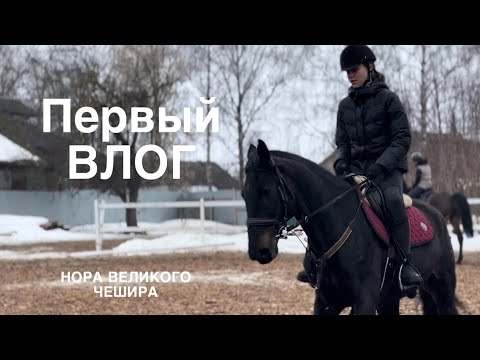 Видео: ВЛОГ/3 дня на конюшне