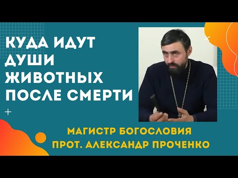 Видео: Есть ли ДУША у ЖИВОТНЫХ и КУДА ОНИ ПОПАДАЮТ ПОСЛЕ СМЕРТИ. Прот. Александр ПРОЧЕНКО