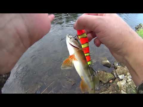 Видео: Рыбалка на течение - щука и окунь вместо форели.