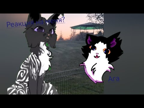 Видео: Реакция на Фиолетоглазку...#котывоители #кв #warriorcats