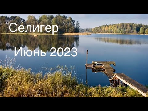 Видео: Селигер 🏴‍☠️ / Неприе 🛖 / Июнь 2023 / Тестируем BlaBla Car 🚗