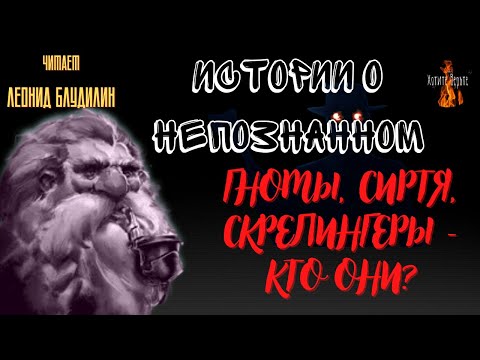 Видео: Истории о Непознанном: ГНОМЫ, СИРТЯ, СКРЕЛИНГЕРЫ - КТО ОНИ?