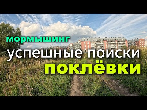 Видео: НАШЕЛ ПРУДИК полный КАРАСЕЙ! MAVLLOS Plume 0.6-8гр. #мормышинг #стритфишинг #nanojig  #карась