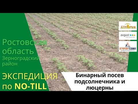 Видео: Экспедиция NO-till: Бинарный посев подсолнечника и люцерны