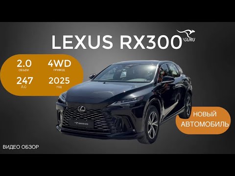 Видео: Обзор на Lexus RX300 #автомобильназаказ #автоизкитая #автоизкореи #автоизгермании 