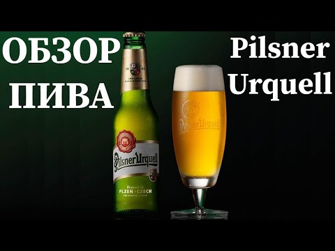 Видео: Обзор Пива Pilsner Urquell - Самое Лучшее Чешское Пиво