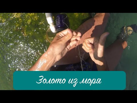 Видео: Подводный поиск #21: Золото Черного моря!
