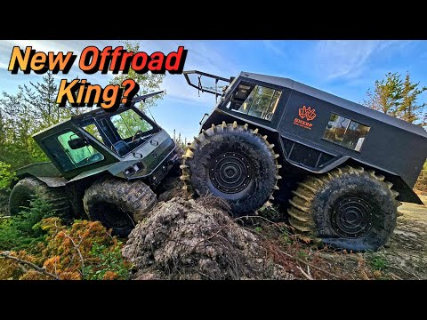 Видео: Шерп против Болотного всадника — новый чемпион Маскега?