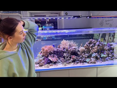 Видео: Предновогодний обзорчик! Залили скейп, зарыбили море.