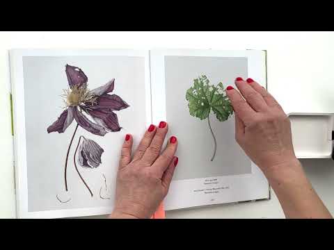 Видео: Які роботи створювати для ботанічних виставок.