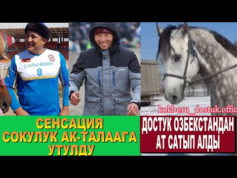 Видео: ДОСТУК ӨЗБЕКСТАНДАН АТ САТЫП АЛДЫ/ ОМУРБЕК КАМЧЫСЫН КИМГЕ БЕРДИ/ СОКУЛУК АК-ТАЛААГА УТУЛУП КАЛДЫ