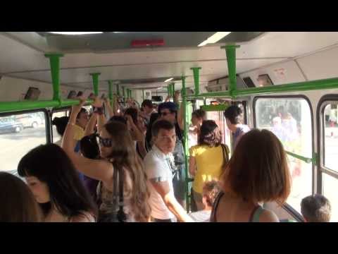 Видео: Выйду ночью в поле с конем... в автобусе
