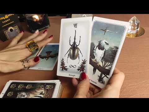 Видео: 🦅КАКВО ЩЕ УСПОКОИ СЪРЦЕТО ТИ🦉КАК ДА СИ ПОМОГНЕШ🦅