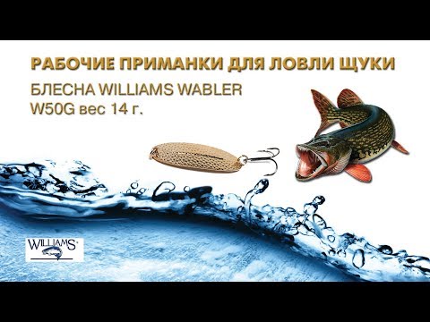 Видео: Ловля щуки на блесну Williams Wabler W50G. Проводки и результаты применения.