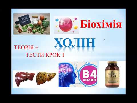 Видео: Холін (вітамін В4): теорія + тести КРОК 1 Біохімія