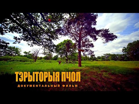 Видео: ТЕРРИТОРИЯ ПЧЕЛ | Документальный фильм